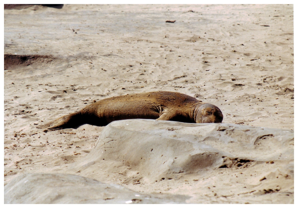 15 - Monterey Bay (8).jpg
